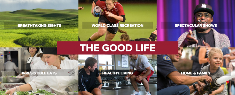 One of many of the panels on the WSU homepage.