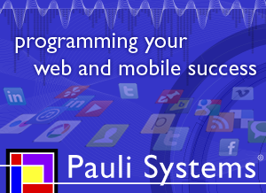 Pauli Systems, LC