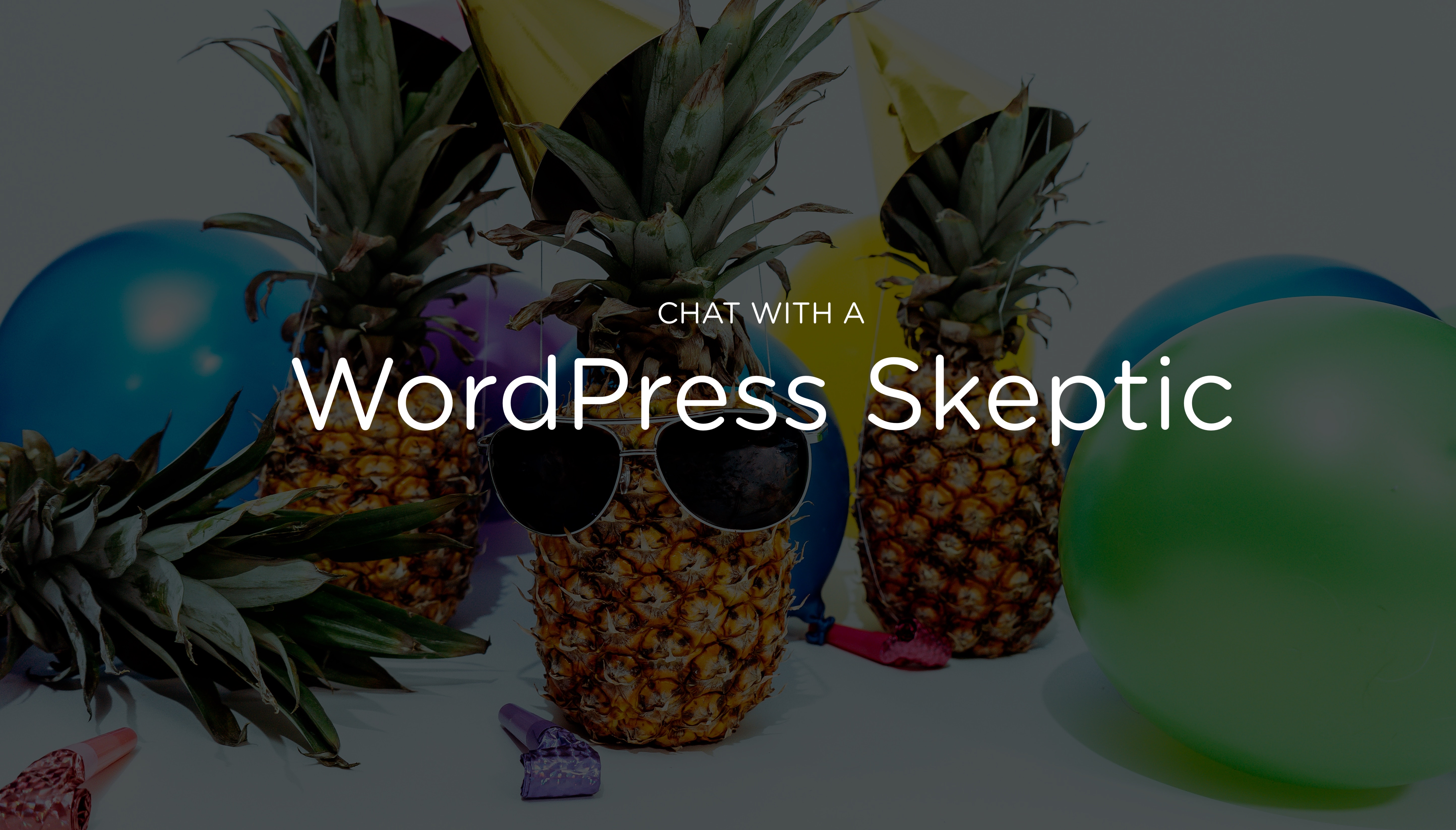 Chat with a WordPress skeptic