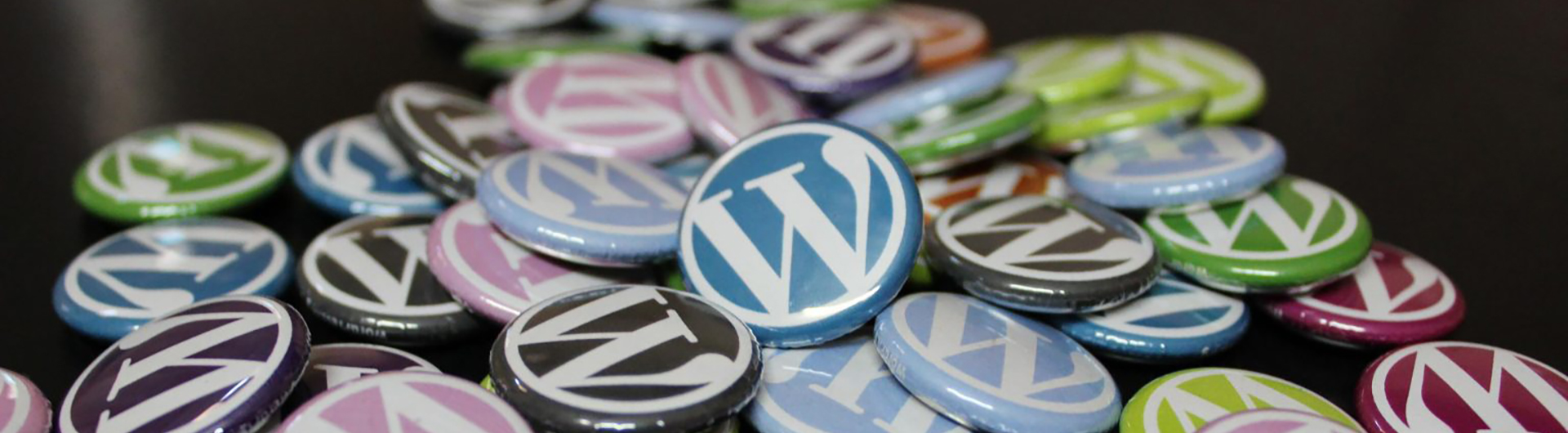 20 Years of WordPress