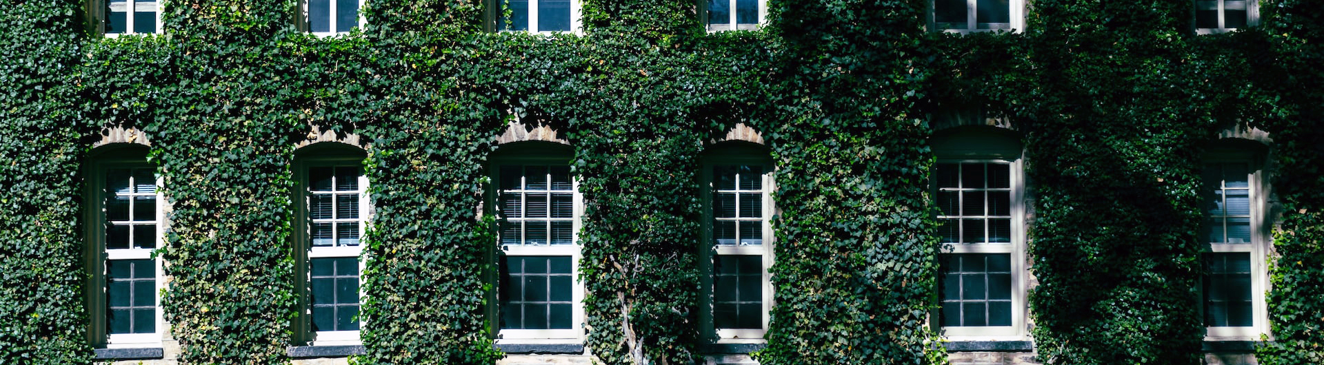 ivy covered hall of a higher education university